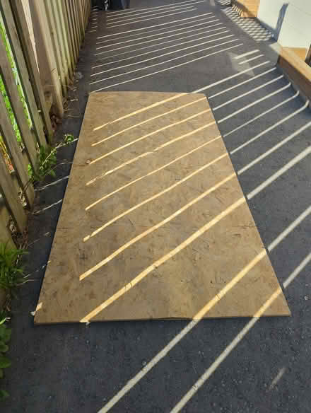 Photo of free Oriented Strand Board 96 x 48 inch (Guildwood, Scarborough) #1