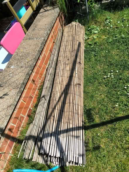 Photo of free Bamboo garden screening, it has been used. (Greater Leys OX4) #1