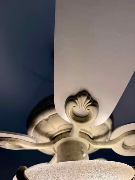 Photo of free 52" Hunter Ceiling Fan w/ Light (New Market, Md Lake Linganore) #2
