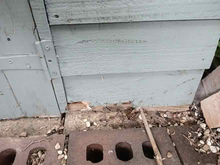Photo of free Small shed (Barlestone CV13) #3