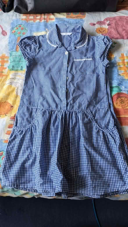 Photo of free Summer school dresses size 6 - 7 (Knighton LE2) #2
