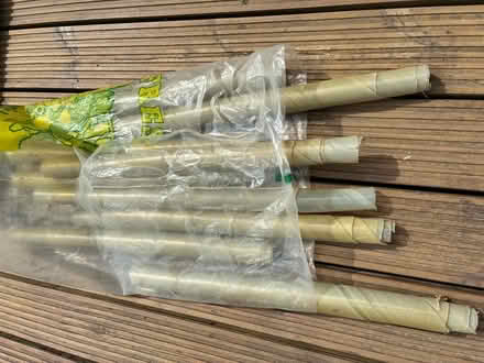 Photo of free Sapling protectors (Fishbourne PO18) #1