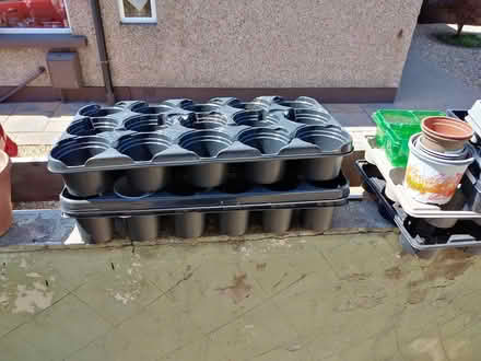 Photo of free Various plant pots (Lancaster Vale LA1) #2