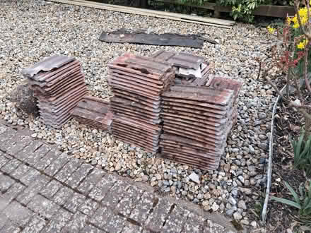 Photo of free Wood for burning , and pallets (Lower Green TN2) #2