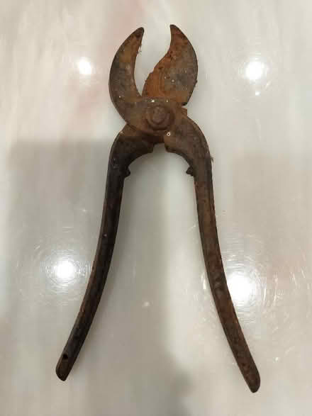 Photo of free Rusty iron secateurs (Southcote RG1) #1