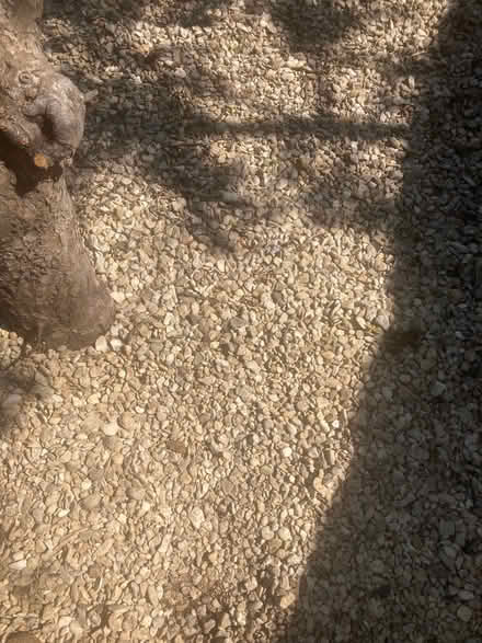 Photo of free Gravel (Tuffley GL1) #2