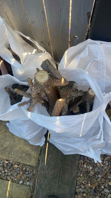 Photo of free Small logs (Wakefield WF3) #2
