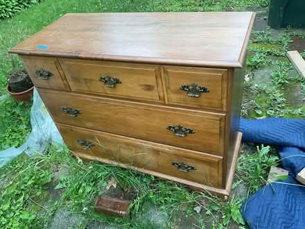 Photo of free Maple moose head bureau medium (4 Meadowbrook Rd) #1
