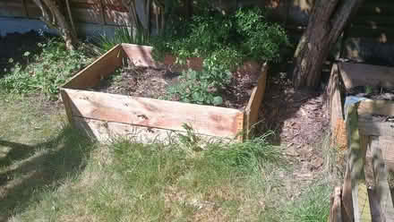 Photo of free Garden / Vegetable Frames (Didsbury M20) #1
