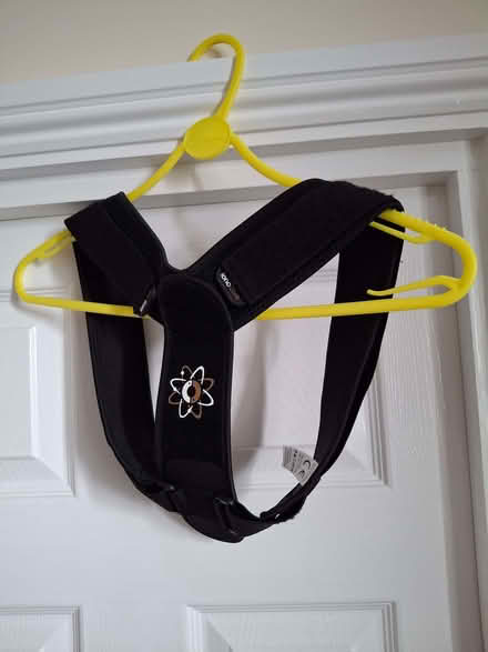 Photo of free Posture Corrector (Weston-super-Mare BS23) #1
