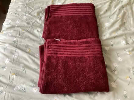 Photo of free Two bath towels (Fords Farm RG30) #1