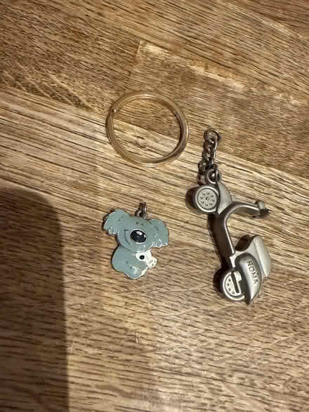 Photo of free Key rings (Newbury Park IG2) #1