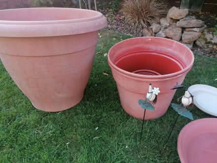 Photo of free Garten Pots, Trays, Various items (Easington OX16) #1