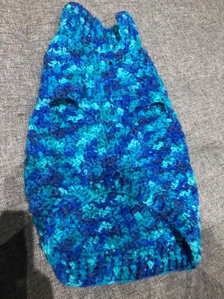 Photo of free handknit dog sweater (North York) #1