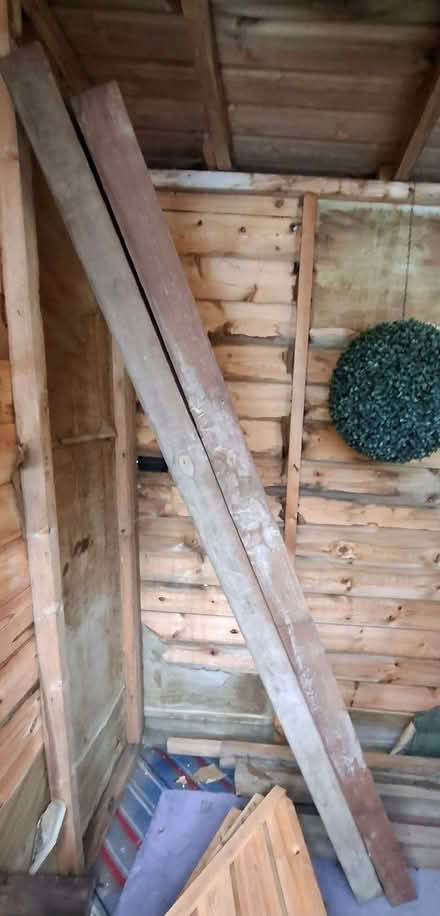 Photo of free Wooden Posts for Fencing and other uses (Reydon IP18) #2