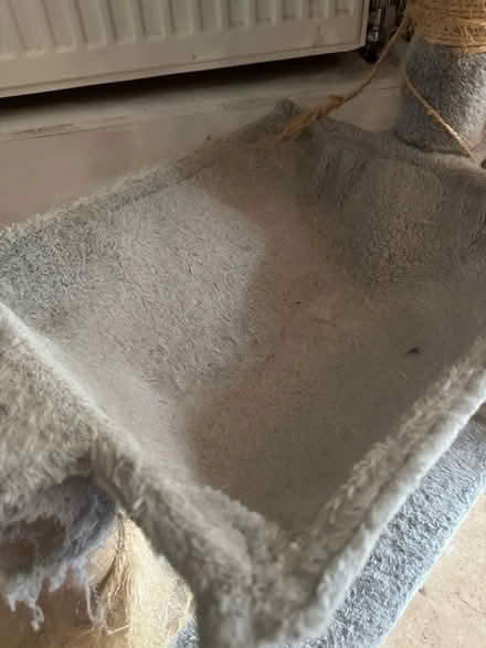 Photo of free Well Used Cat Tree (WR1 Lansdowne) #3