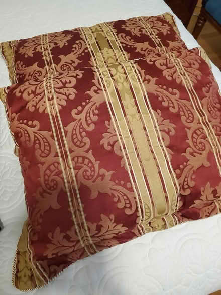 Photo of free Comforter and Pillows (Ossining) #1