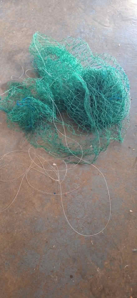Photo of free Net (Montville) #1