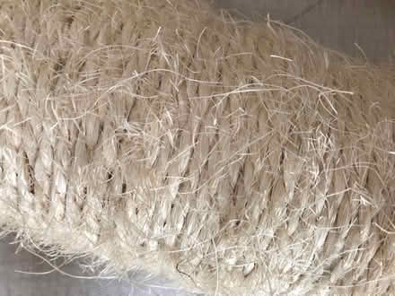 Photo of free Cat Scratching Posts (Posts only) (Congleton CW12) #3