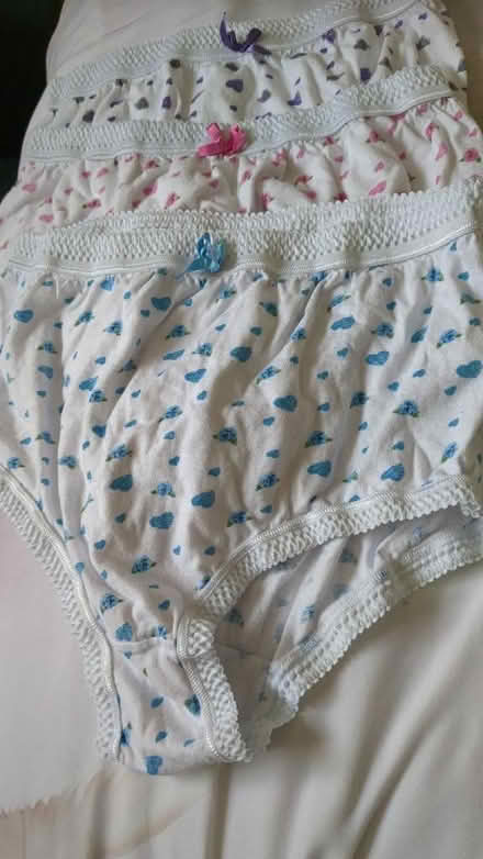 Photo of free Underwear (Braithwaite BD22) #1
