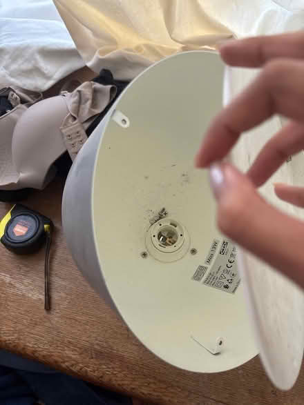 Photo of free LampsX 2 (St Leonards street EH98RB) #2