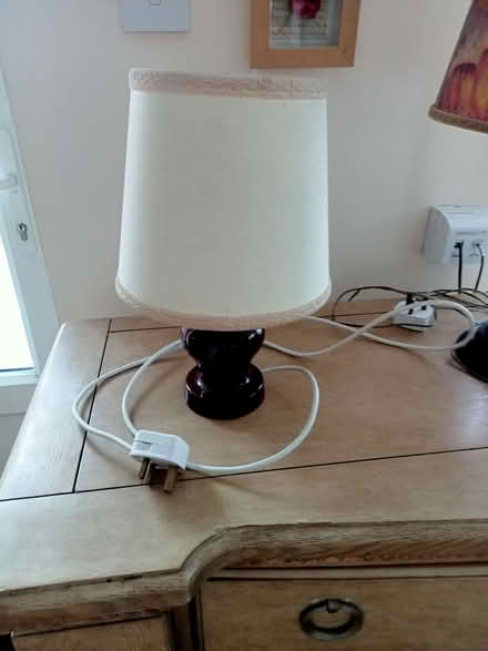 Photo of free Table lamp (Polegate BN26) #1
