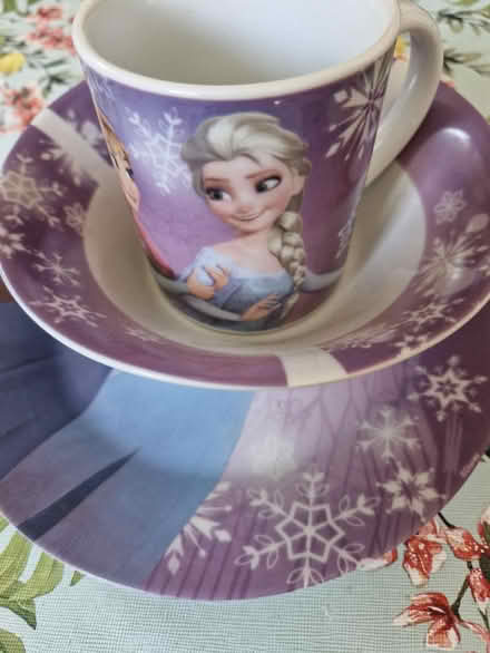 Photo of free Frozen ceramic plate/bowl/cup (SK14) #1