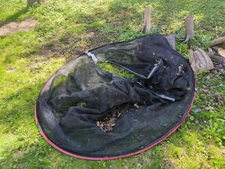 Photo of free Outdoor Round Trampoline (Guildwood, Scarborough) #2