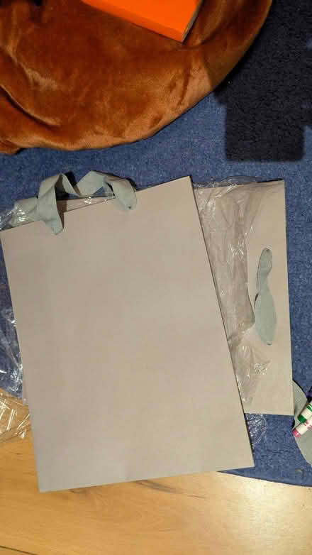 Photo of free Grey paper bags x2 (Dyke Road area BN3) #1