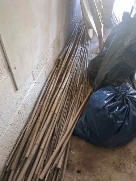Photo of free Bamboo canes (BA1) #1