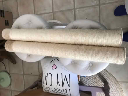 Photo of free Cat Scratching Posts (Posts only) (Congleton CW12) #1