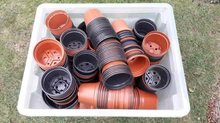 Photo of free plant pots (wellingborough NN9) #1