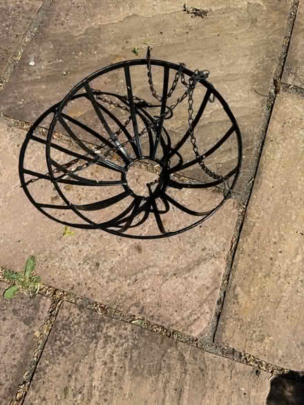 Photo of free Hanging basket (Diss IP22) #1