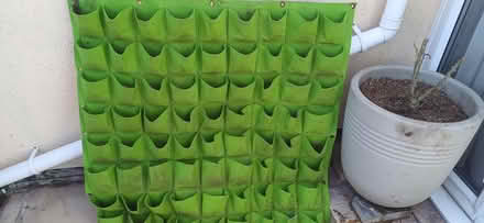 Photo of free 72 pocket living wall planter (Cleveleys FY5) #1