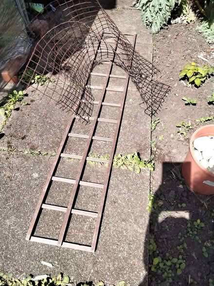 Photo of free Plant supports (Allerton L18) #1