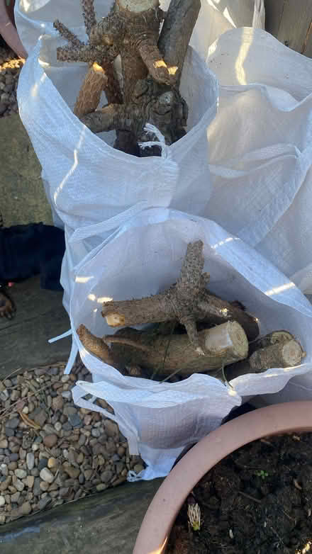 Photo of free Small logs (Wakefield WF3) #1