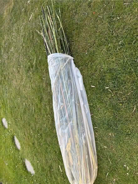 Photo of free Bamboo canes (Welling DA16) #1