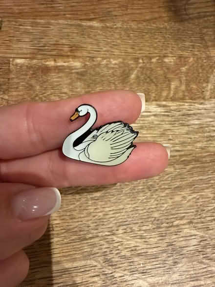 Photo of free Swan pin brooch (Newbury Park IG2) #1