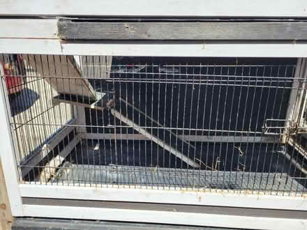 Photo of free Two tier guinea pig or rabbit hutch (Bradford bd6) #3