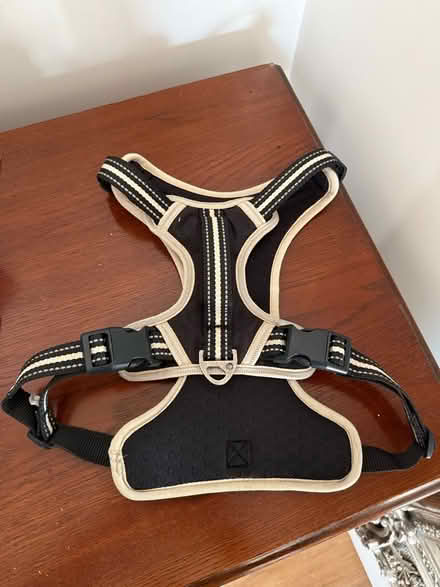 Photo of free 3 Peaks Dog Harness (Crookes S10) #2
