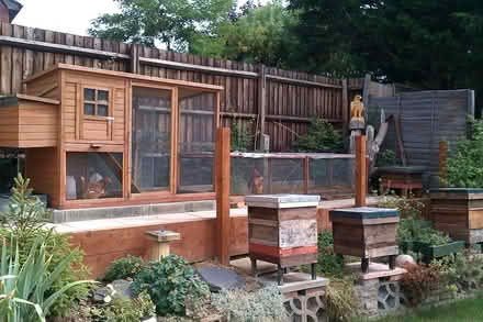 Photo of free Chicken Hutch (Abingdon OX14 3TF) #3