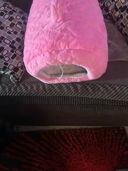 Photo of free Cat bed (Laurel Maryland 20708) #1
