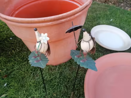 Photo of free Garten Pots, Trays, Various items (Easington OX16) #2