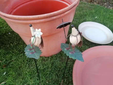 Photo of free Garten Pots, Trays, Various items (Easington OX16) #2