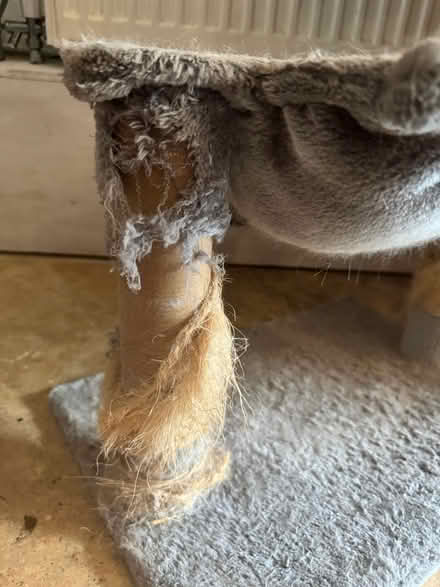 Photo of free Well Used Cat Tree (WR1 Lansdowne) #2
