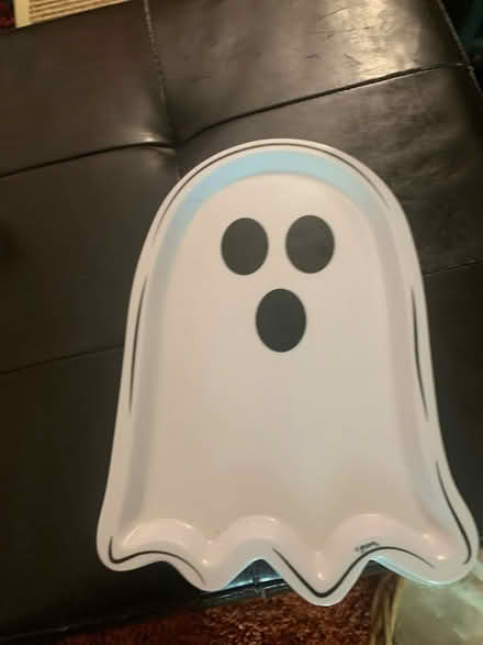 Photo of free Boo boo (Laurel Maryland 20708) #1