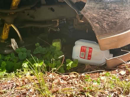 Photo of Truck sitting (Anderson sc) #3