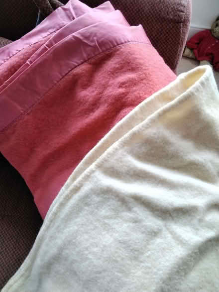 Photo of free 2 pure wool blankets (Allerton L18) #1
