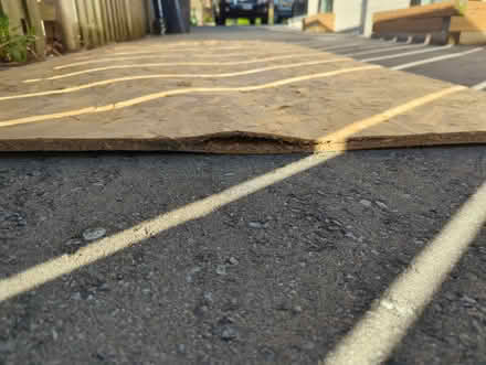 Photo of free Oriented Strand Board 96 x 48 inch (Guildwood, Scarborough) #2