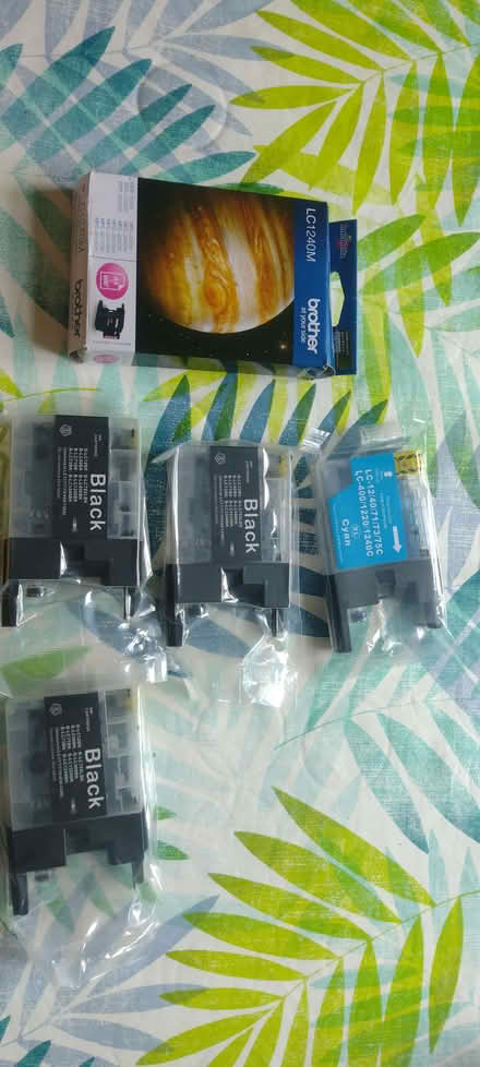 Photo of free Brother ink cartridges (Little Eaton DE21) #1